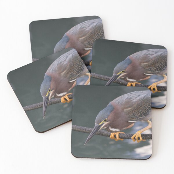 Item preview, Green Heron designed and sold by LaurenTucker.