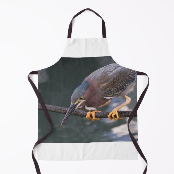 Item preview, Green Heron designed and sold by LaurenTucker.
