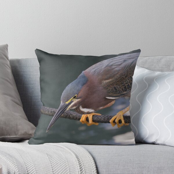Item preview, Green Heron designed and sold by LaurenTucker.