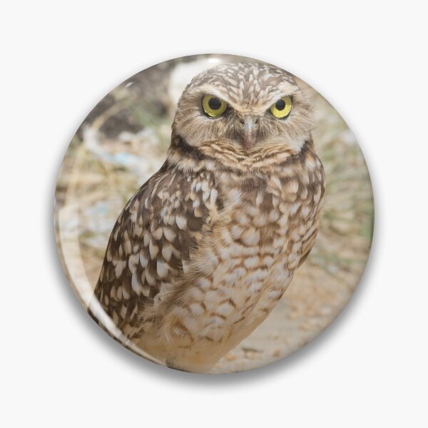 Item preview, Burrowing Owl - Athene cunicularia designed and sold by LaurenTucker.
