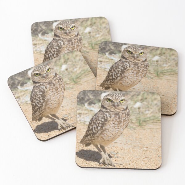 Item preview, Burrowing Owl - Athene cunicularia designed and sold by LaurenTucker.