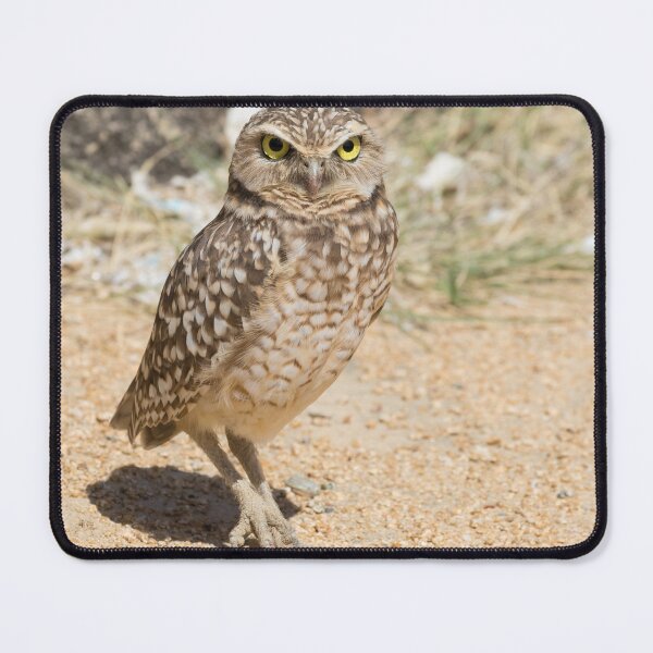 Item preview, Burrowing Owl - Athene cunicularia designed and sold by LaurenTucker.