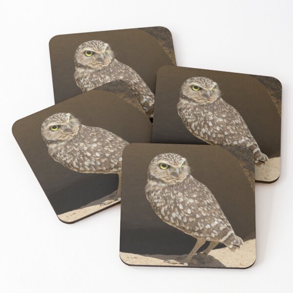 Item preview, Burrowing Owl designed and sold by LaurenTucker.