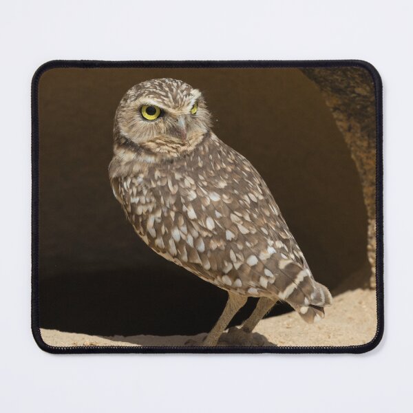 Item preview, Burrowing Owl designed and sold by LaurenTucker.