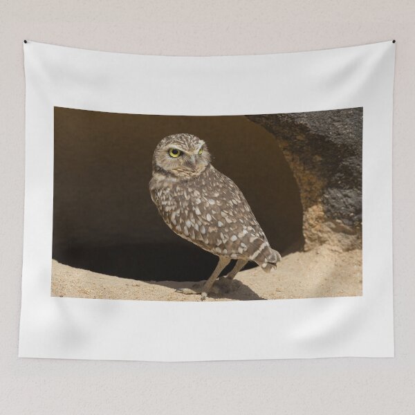 Item preview, Burrowing Owl designed and sold by LaurenTucker.