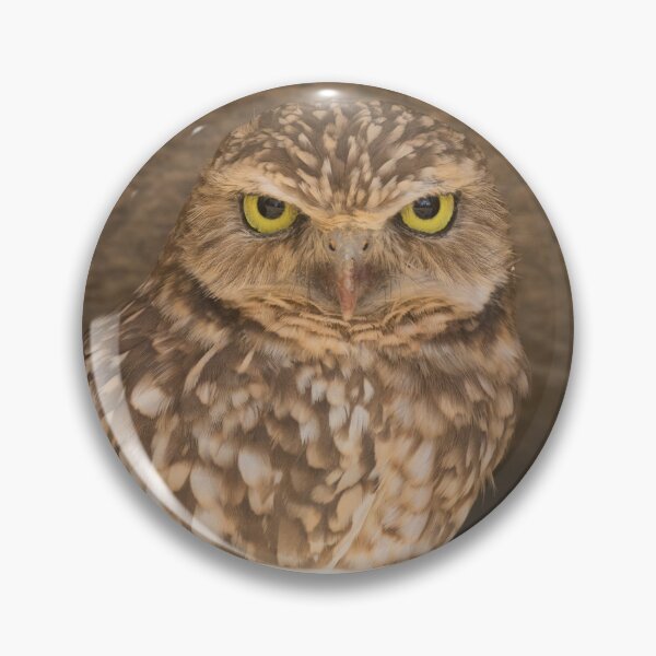 Item preview, Burrowing Owl - Athene cunicularia designed and sold by LaurenTucker.