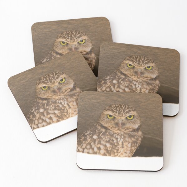 Item preview, Burrowing Owl - Athene cunicularia designed and sold by LaurenTucker.