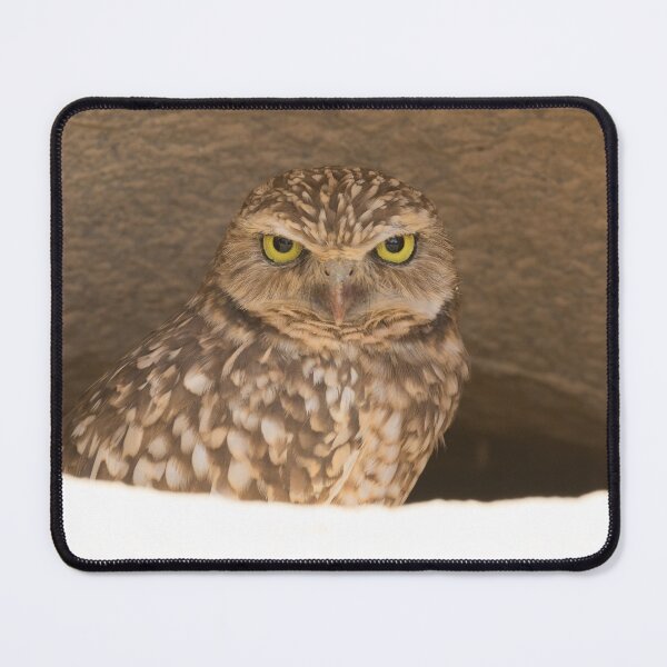Item preview, Burrowing Owl - Athene cunicularia designed and sold by LaurenTucker.