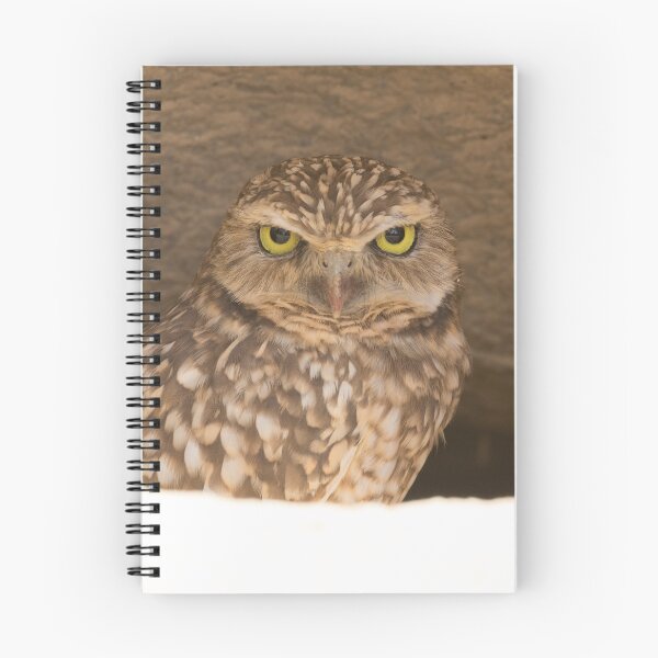 Item preview, Burrowing Owl - Athene cunicularia designed and sold by LaurenTucker.