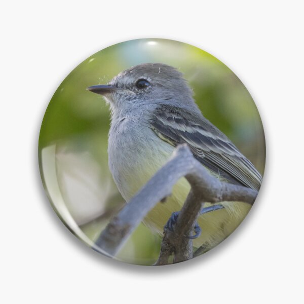 Item preview, Northern Scrub Flycatcher designed and sold by LaurenTucker.