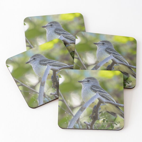 Item preview, Northern Scrub Flycatcher designed and sold by LaurenTucker.