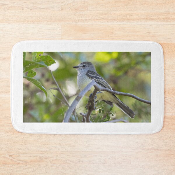 Item preview, Northern Scrub Flycatcher designed and sold by LaurenTucker.