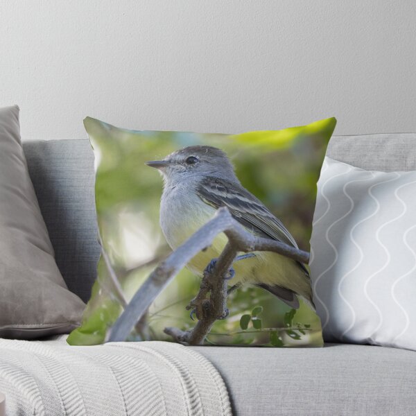 Item preview, Northern Scrub Flycatcher designed and sold by LaurenTucker.