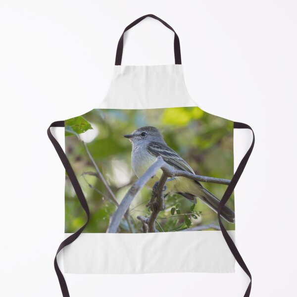 Item preview, Northern Scrub Flycatcher designed and sold by LaurenTucker.