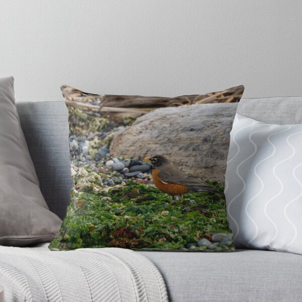 Item preview, Robin in Seaweed designed and sold by TinyDinoDesigns.