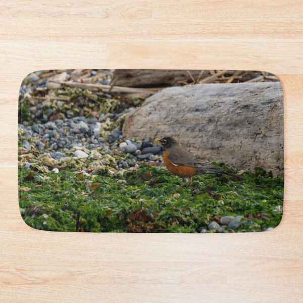 Item preview, Robin in Seaweed designed and sold by TinyDinoDesigns.