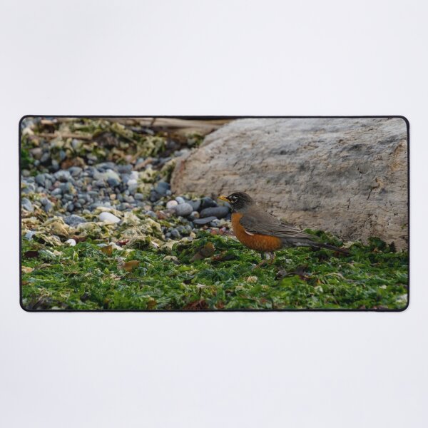 Item preview, Robin in Seaweed designed and sold by TinyDinoDesigns.