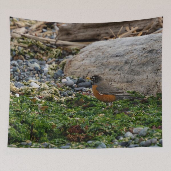 Item preview, Robin in Seaweed designed and sold by TinyDinoDesigns.