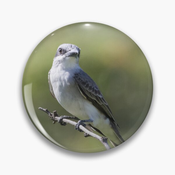 Item preview, Tropical Mockingbird designed and sold by LaurenTucker.