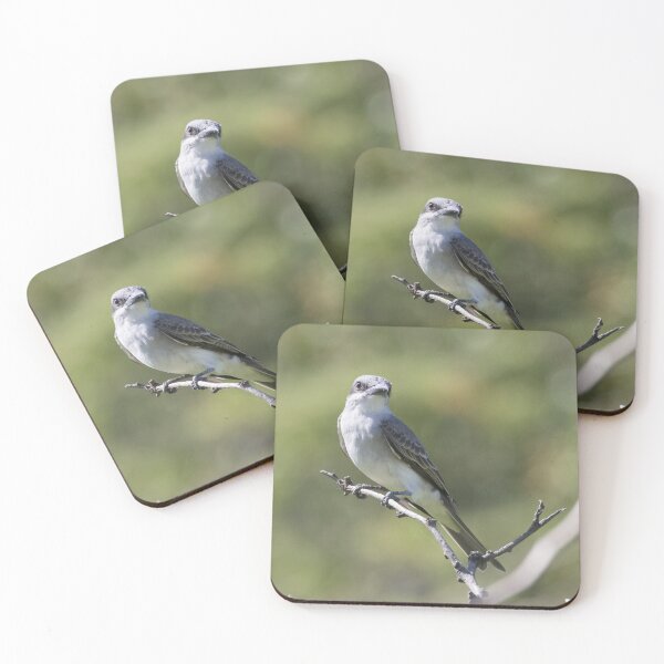 Item preview, Tropical Mockingbird designed and sold by LaurenTucker.