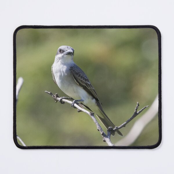 Item preview, Tropical Mockingbird designed and sold by LaurenTucker.