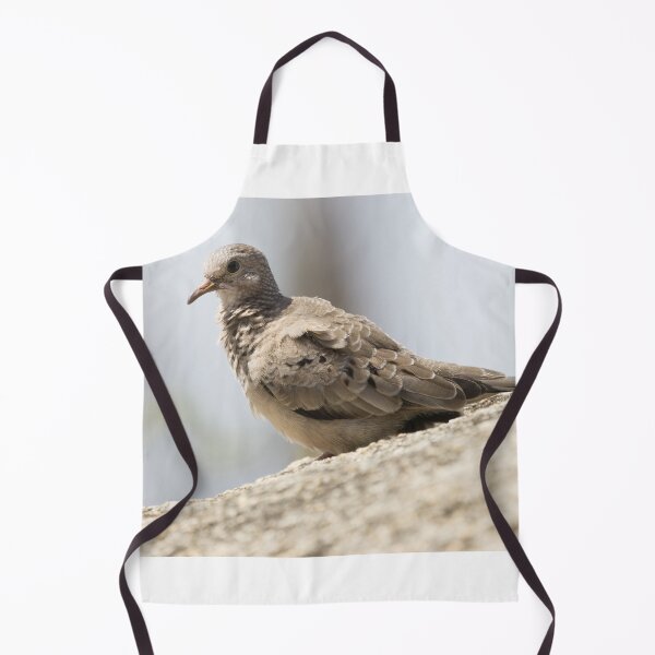 Item preview, Common Ground Dove designed and sold by LaurenTucker.