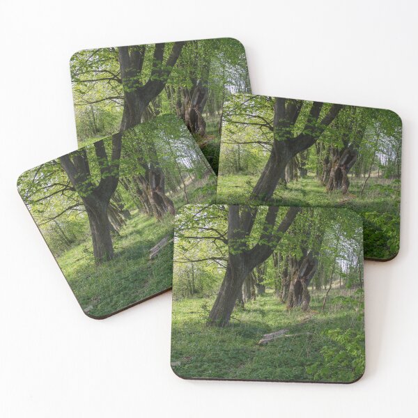 Item preview, Old cemetery in spring – enchanting tree-lined avenue & green light | Nature photography designed and sold by MarkusUrbex.