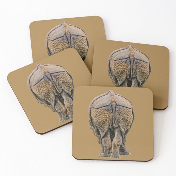 Item preview, Does my Bum look big to you? designed and sold by Dalyndigital Photography.