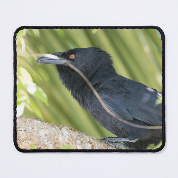 Item preview, White Necked Crow designed and sold by LaurenTucker.