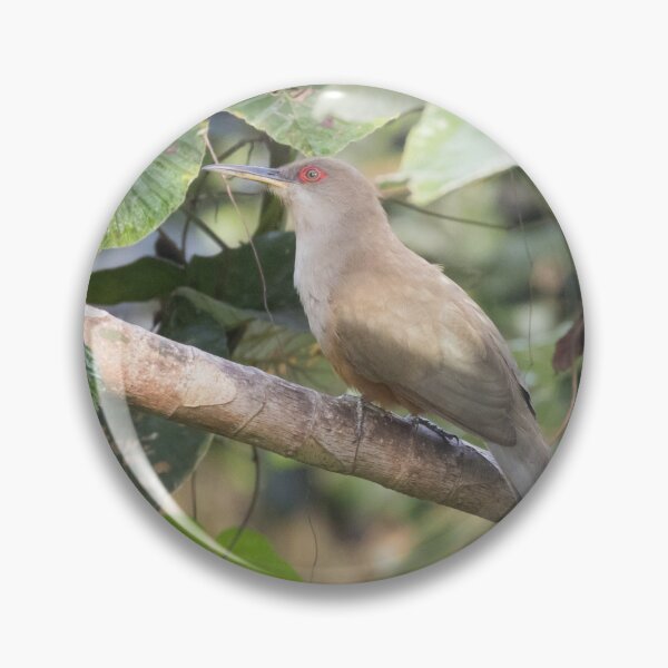 Item preview, Puerto Rican Lizard-Cuckoo designed and sold by LaurenTucker.