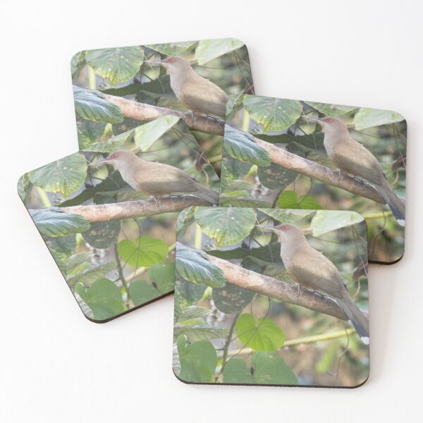 Item preview, Puerto Rican Lizard-Cuckoo designed and sold by LaurenTucker.