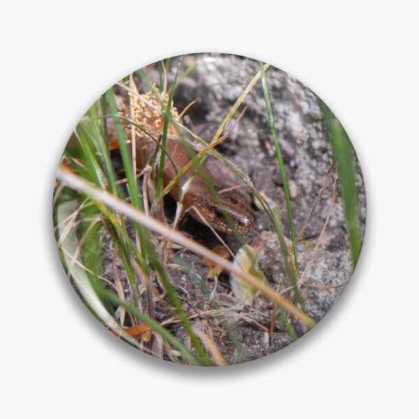 Item preview, Slow worm in the grass – Hidden reptile | Nature macro in an old cemetery designed and sold by MarkusUrbex.