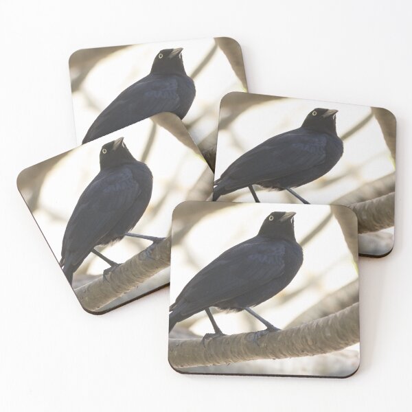 Item preview, Greater Antillean Grackle designed and sold by LaurenTucker.