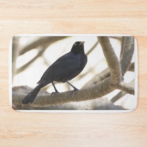 Item preview, Greater Antillean Grackle designed and sold by LaurenTucker.