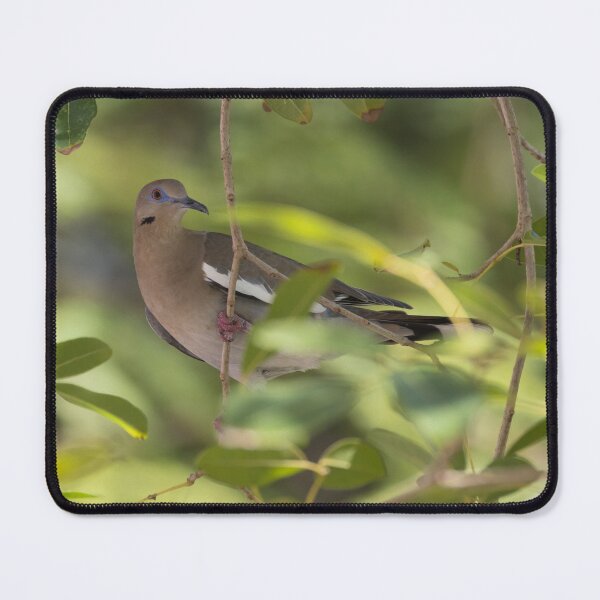 Item preview, White Winged Dove designed and sold by LaurenTucker.