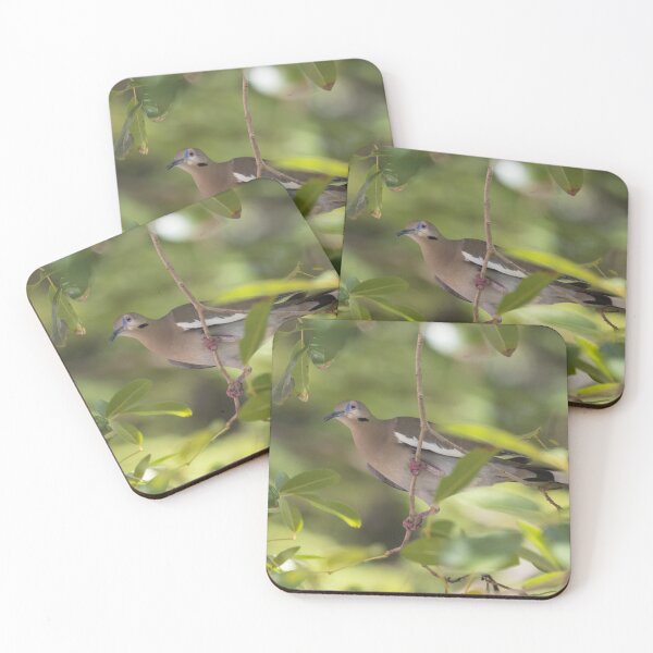 Item preview, White Winged Dove designed and sold by LaurenTucker.