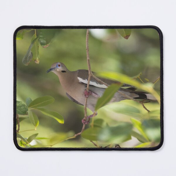 Item preview, White Winged Dove designed and sold by LaurenTucker.