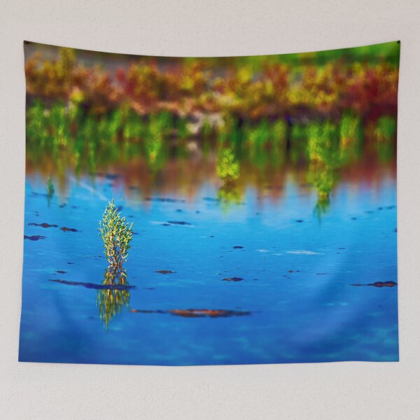 Item preview, Salicornia designed and sold by NunoPires.