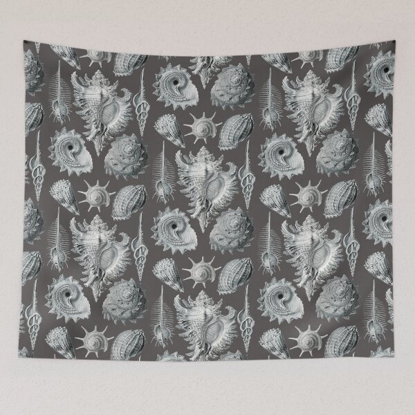 Item preview, Illustrations of seashells wall decor designed and sold by Natart1004.