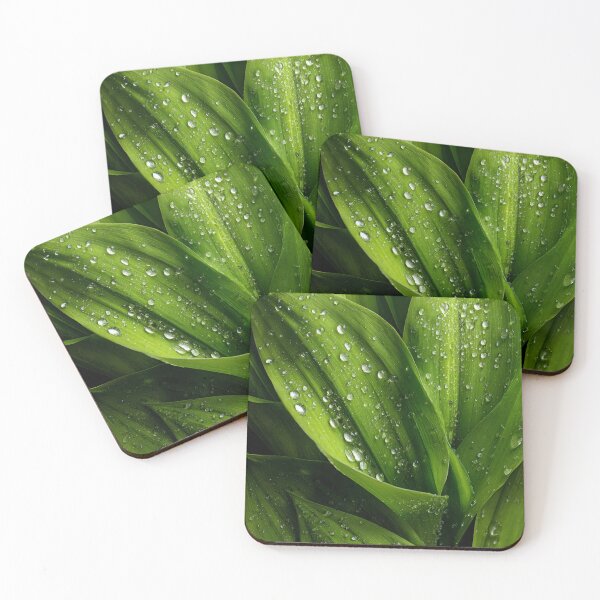 Item preview, Fresh Green Leaves Covered With Morning Dew Drops designed and sold by EL-Lebedenko.