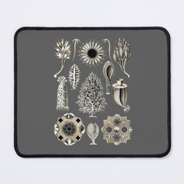 Item preview,  Illustrations inspired by natural forms and microscopic organisms wall decor designed and sold by Natart1004.