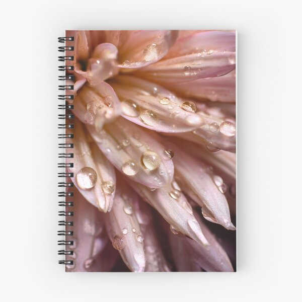 Aperçu de l'œuvre Pétales de fleurs rose tendre avec des gouttes d'eau lumineuses créée et vendue par EL-Lebedenko.