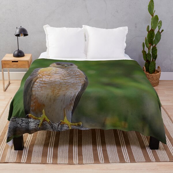 Item preview, A peregrine falcon on a branch designed and sold by Production Art Manon Meilleur.