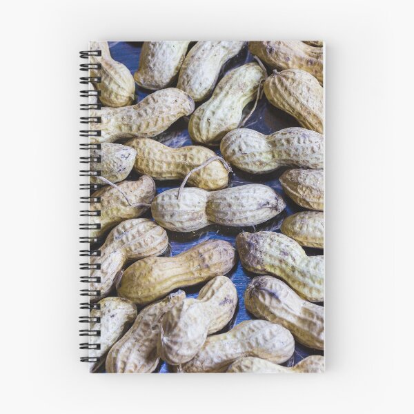 Item preview, Assorted Peanuts in Shells Spread Across Blue Surface for Fresh Farm Produce Display designed and sold by Nmallia.
