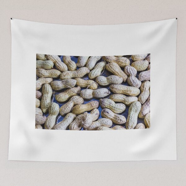 Item preview, Assorted Peanuts in Shells Spread Across Blue Surface for Fresh Farm Produce Display designed and sold by Nmallia.