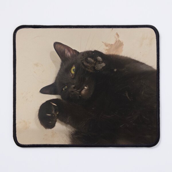 Item preview, Chaotic black cat designed and sold by BornToBeWyld.