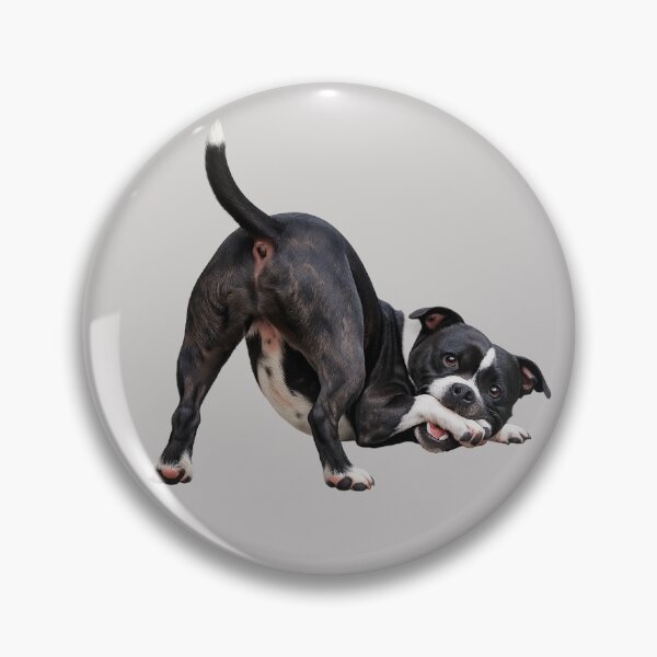 Item preview, Playful Funny Staffie Dog designed and sold by MistyHazeArt.