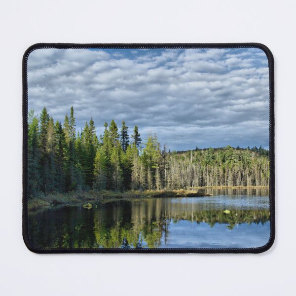 Item preview, Streams in the forest designed and sold by Production Art Manon Meilleur.