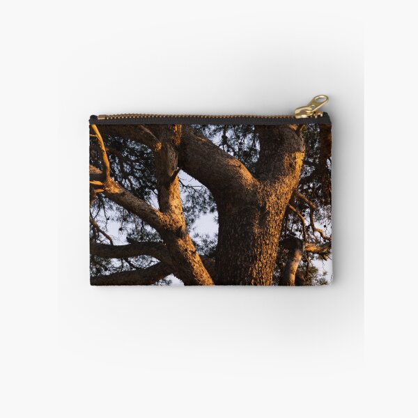 Item preview, Sidelight on branches designed and sold by Ralph Goldsmith.