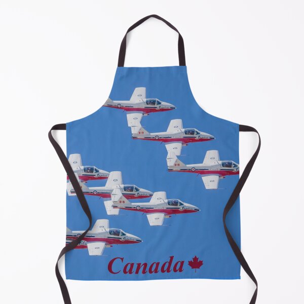 Item preview, Snowbird Canada live performance designed and sold by Production Art Manon Meilleur.